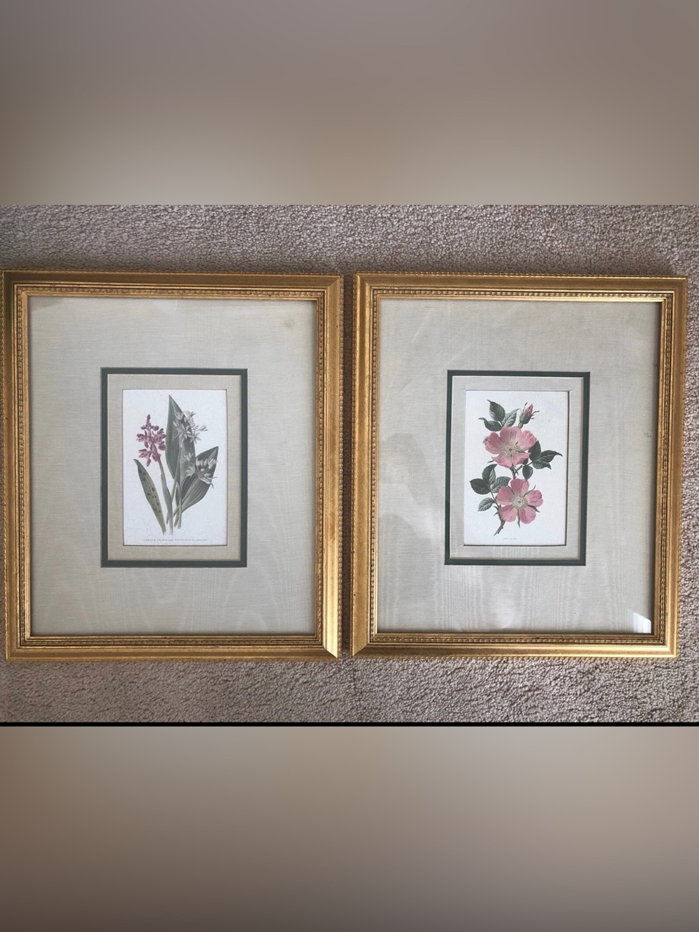 Vintage Common Orchid And Broad -Leafed Garlic / Doc Rose framed Art 15x 12 1/2”